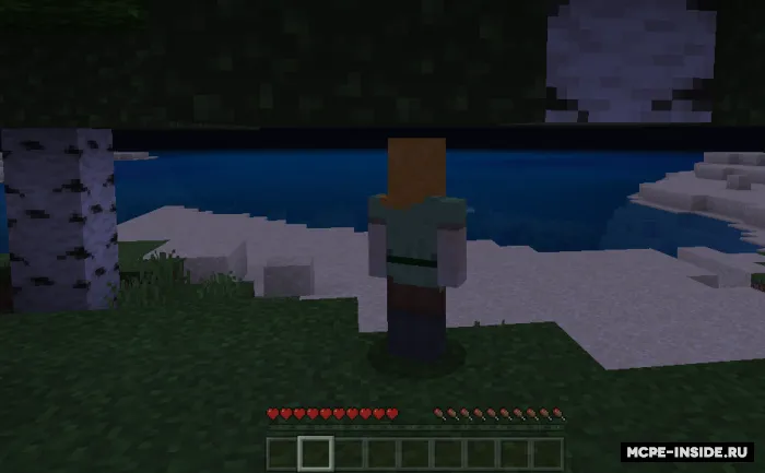 Sakra yoki o'l — Minecraft mod, rasm 2