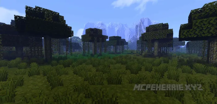 EBS funksiyalari qoidalari — Minecraft mod, rasm 2