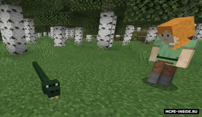 "S" harfkidagi hayvonlar — Minecraft mod, rasm 4