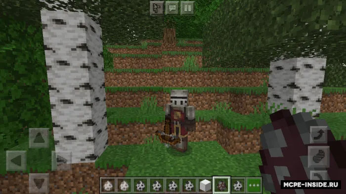 Qaroqchilar — Minecraft mod, rasm 1