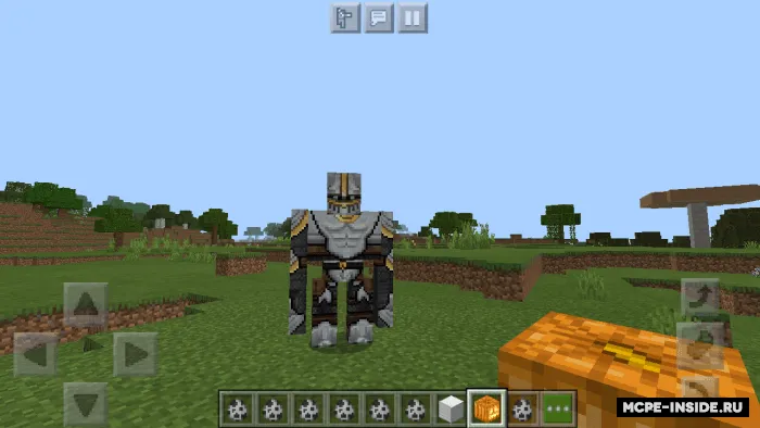 Qaroqchilar — Minecraft mod, rasm 3