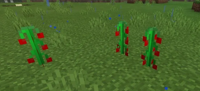 Mazali yasash — Minecraft mod, rasm 3
