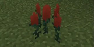 Biodiverstlik — Minecraft mod, rasm 2