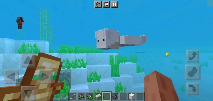 Ilg'or NPC — Minecraft mod, rasm 3