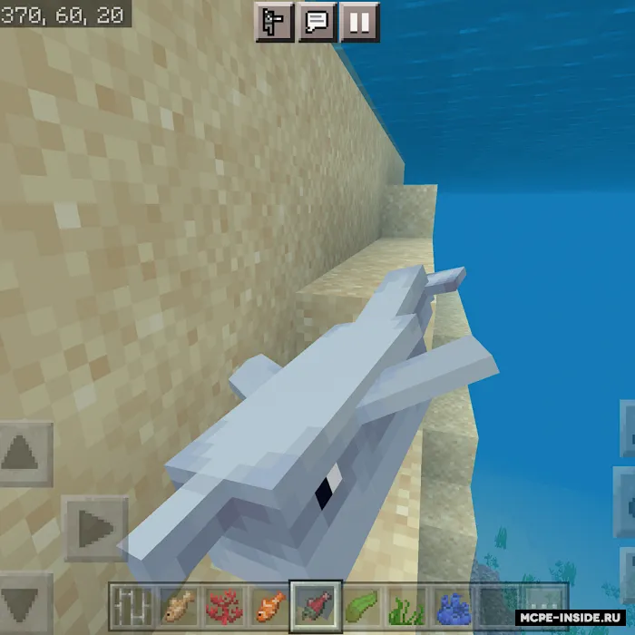 Delfinlar murabbiyi — Minecraft mod, rasm 2