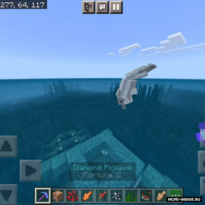 Delfinlar murabbiyi — Minecraft mod, rasm 3