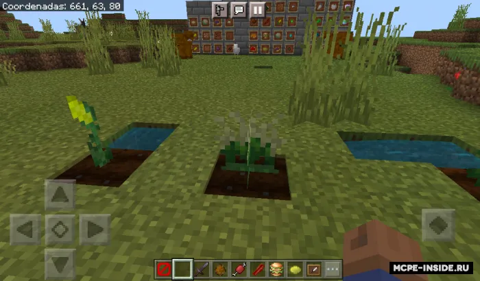 Yangi taomlar — Minecraft mod, rasm 2