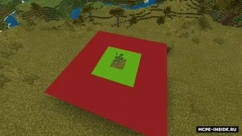 Daraxtlar o'stirish