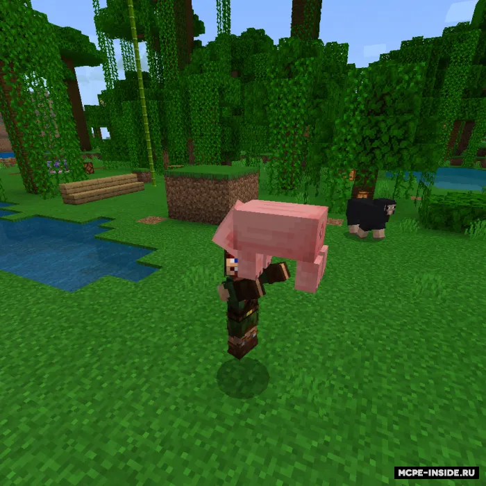 Moblar va o'yinchilarni ko'chirish — Minecraft mod, rasm 2