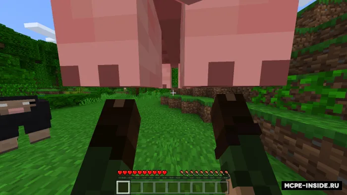 Moblar va o'yinchilarni ko'chirish — Minecraft mod, rasm 3