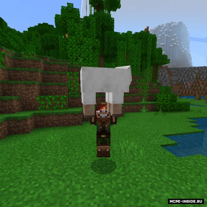 Moblar va o'yinchilarni ko'chirish — Minecraft mod, rasm 4
