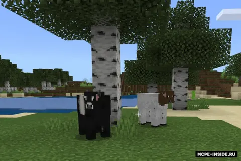Ko'proq mob variantlari