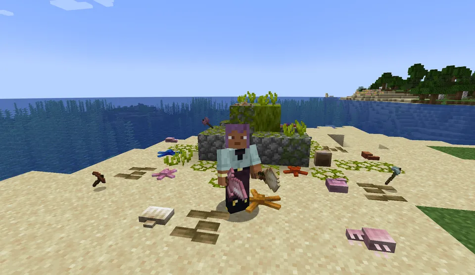 Seafarer — Minecraft mod, rasm 2