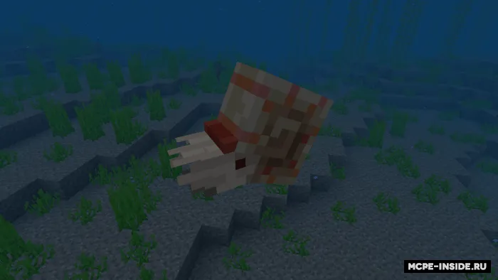 Nautilus — Minecraft mod, rasm 1