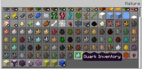 Quark