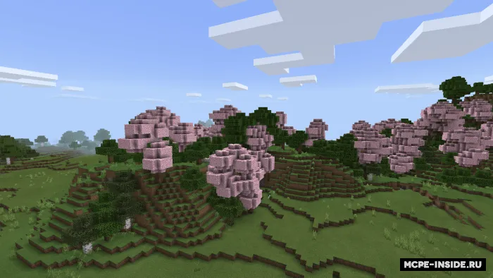 Sakura — Minecraft mod, rasm 1
