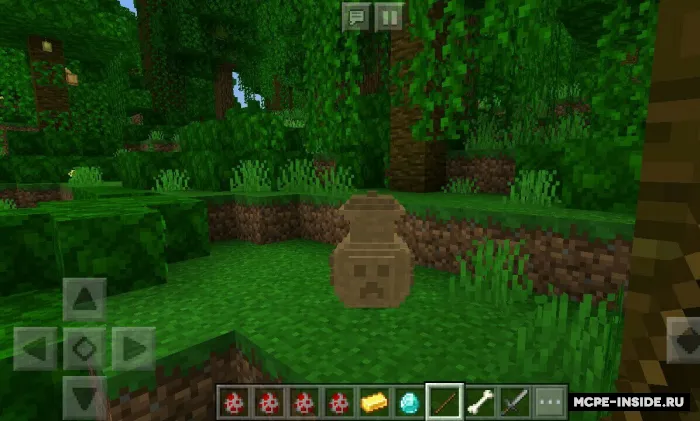 Xazinalar + — Minecraft mod, rasm 2