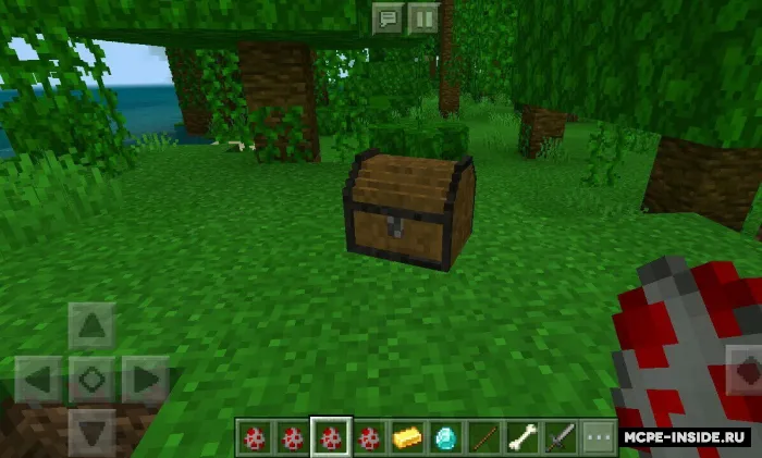Xazinalar + — Minecraft mod, rasm 3