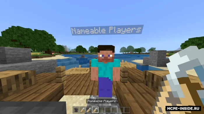 O'yinchilar uchun nomlar — Minecraft mod, rasm 4