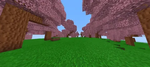 Minecraft uchun qo'shimchalar