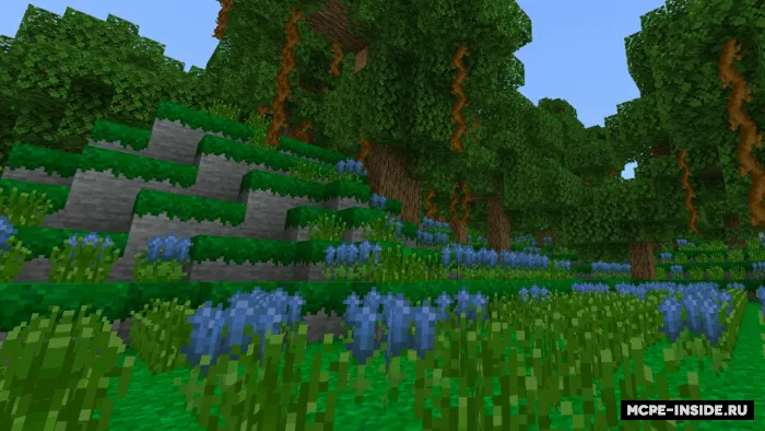 Serob moxli biom — Minecraft mod, rasm 1