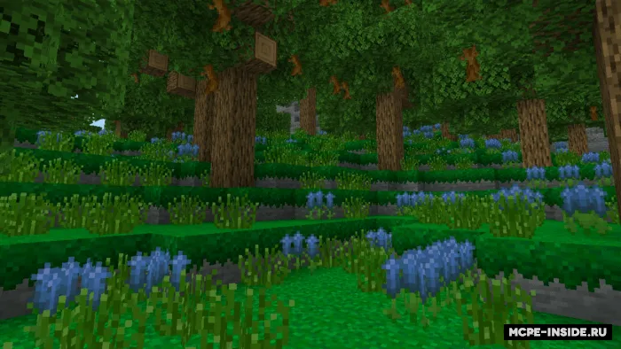 Serob moxli biom — Minecraft mod, rasm 2