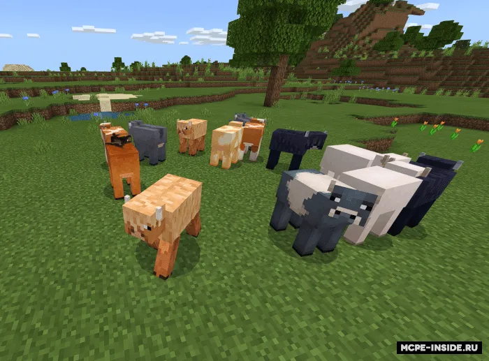 Turli hayvonlar — Minecraft mod, rasm 1