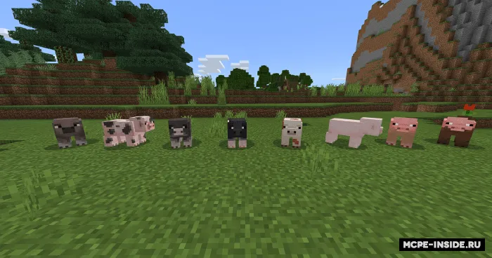 Turli hayvonlar — Minecraft mod, rasm 4