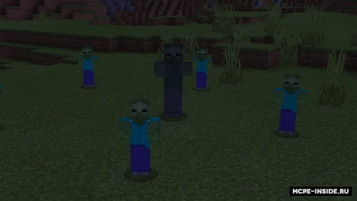 Hardkor — Minecraft mod, rasm 1