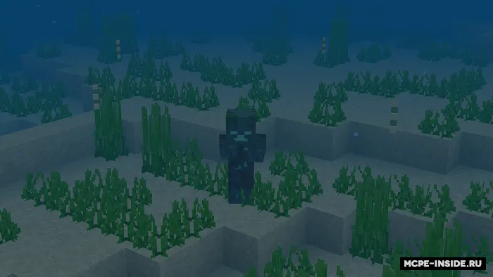 Hardkor — Minecraft mod, rasm 3