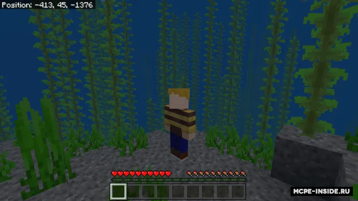 Suv odami — Minecraft mod, rasm 1