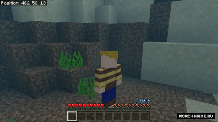Suv odami — Minecraft mod, rasm 3
