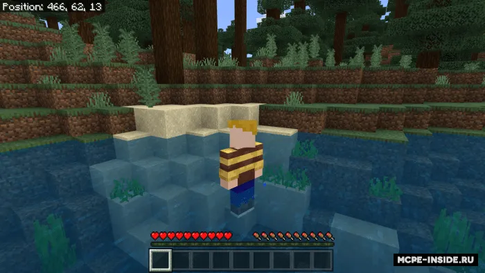 Suv odami — Minecraft mod, rasm 4