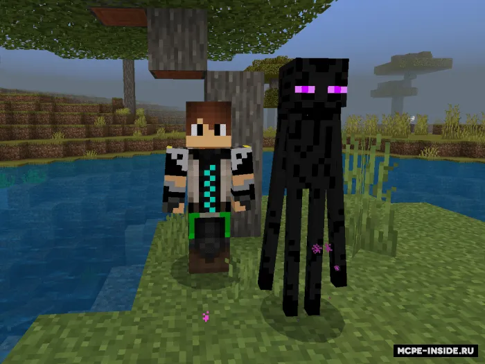 Enderman rejimi — Minecraft mod, rasm 4