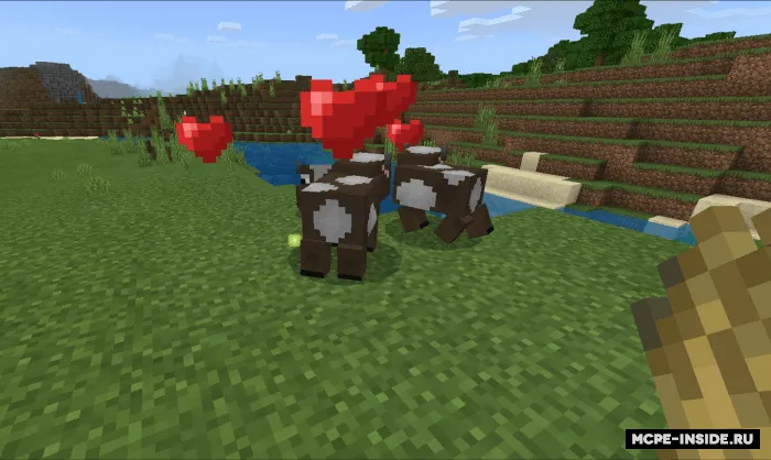 Mini sigir — Minecraft mod, rasm 2