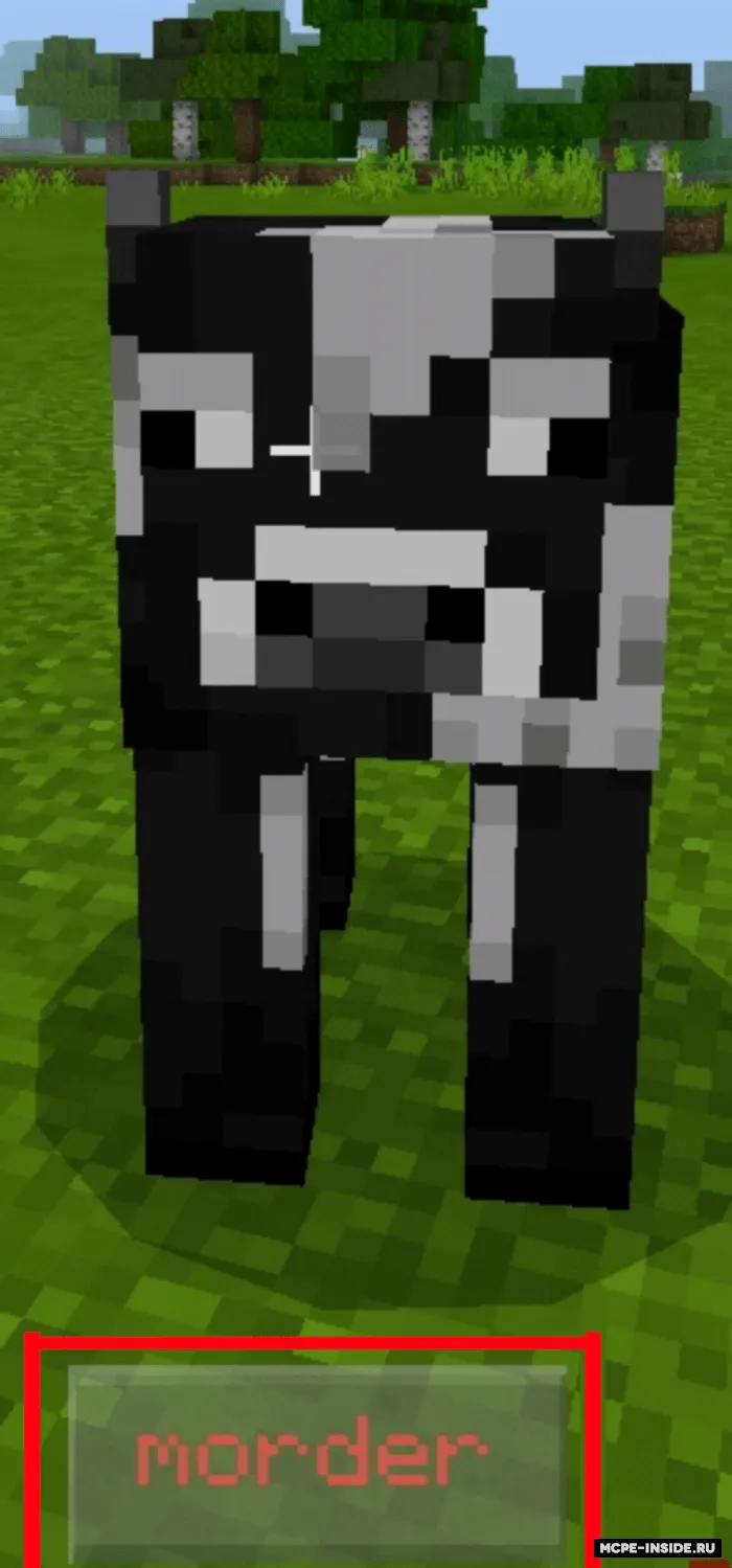 VampirCraft — Minecraft mod, rasm 2