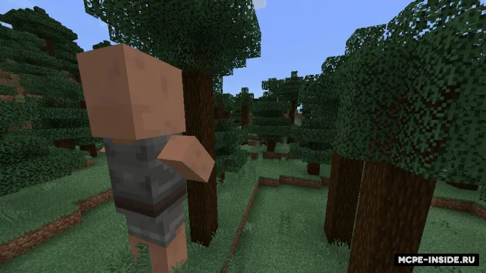 Katta do'stona aholi — Minecraft mod, rasm 2