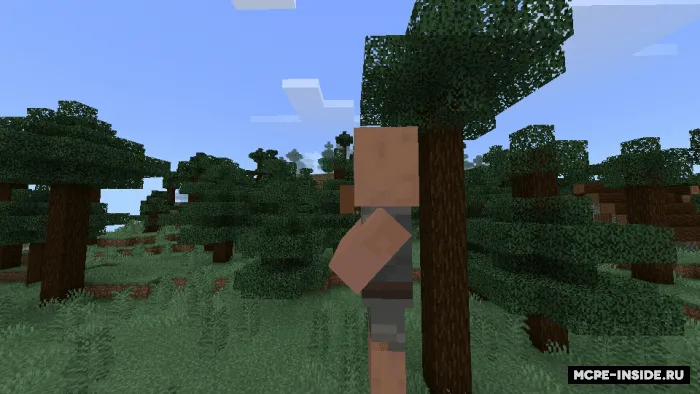 Katta do'stona aholi — Minecraft mod, rasm 3