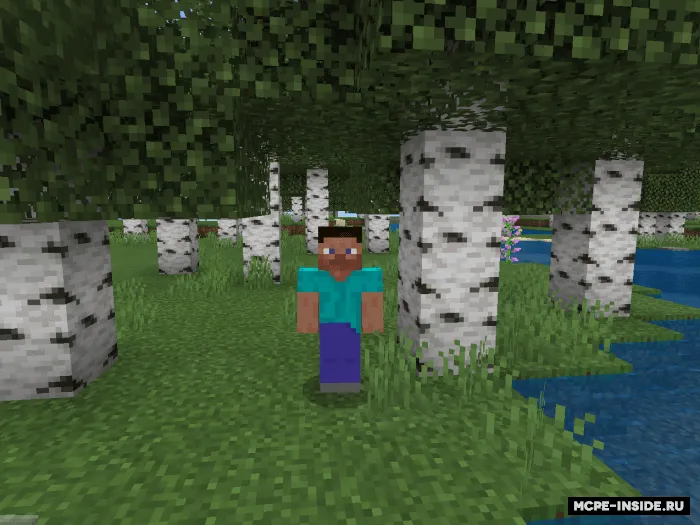 Zombi-rejim — Minecraft mod, rasm 2