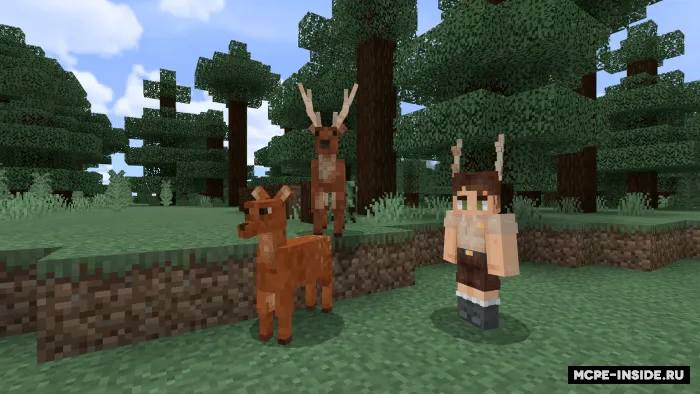 Bug'ular — Minecraft mod, rasm 1