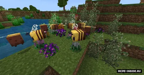 bam_Flora!
