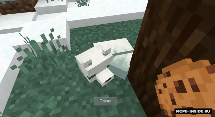 Qo'lga o'rgatiladigan tulkilar — Minecraft mod, rasm 2