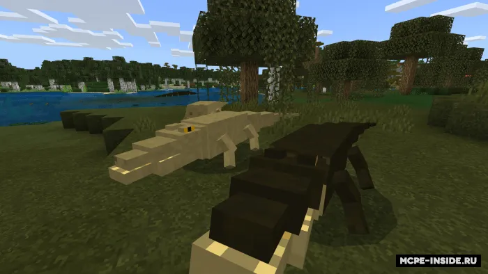 Timsohlar — Minecraft mod, rasm 2