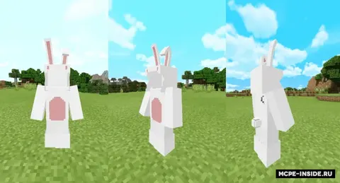 3D quyon kostyumi