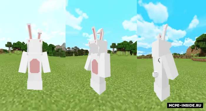 3D quyon kostyumi — Minecraft mod, rasm 1