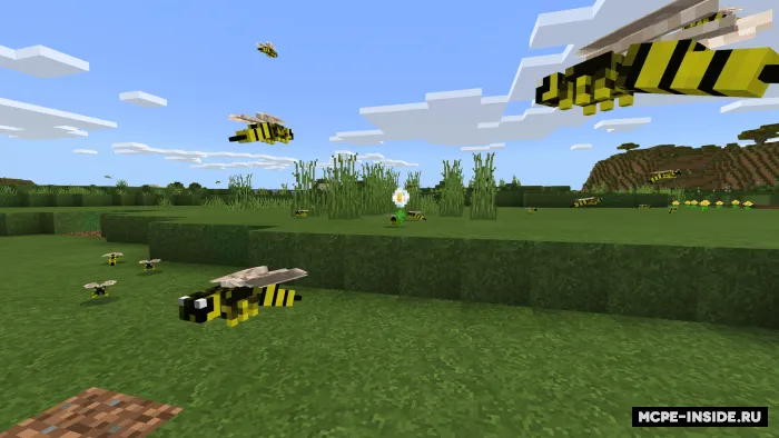 Arilar va chigirtkalar — Minecraft mod, rasm 1
