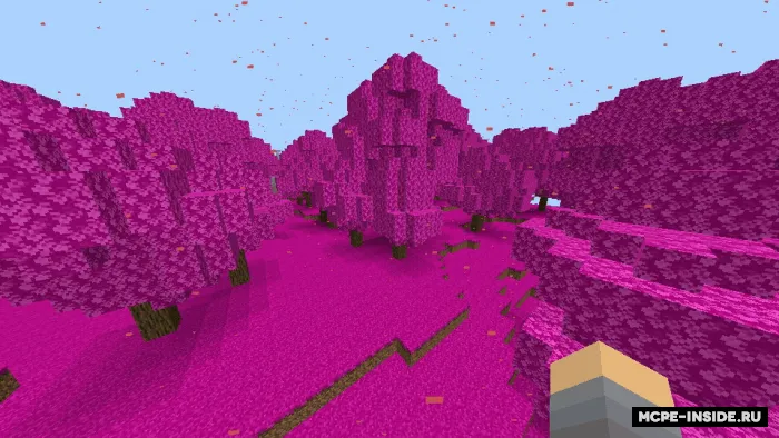Rangli biomlar — Minecraft mod, rasm 4