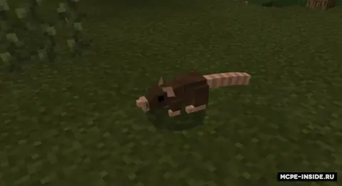 Jimjitlikda