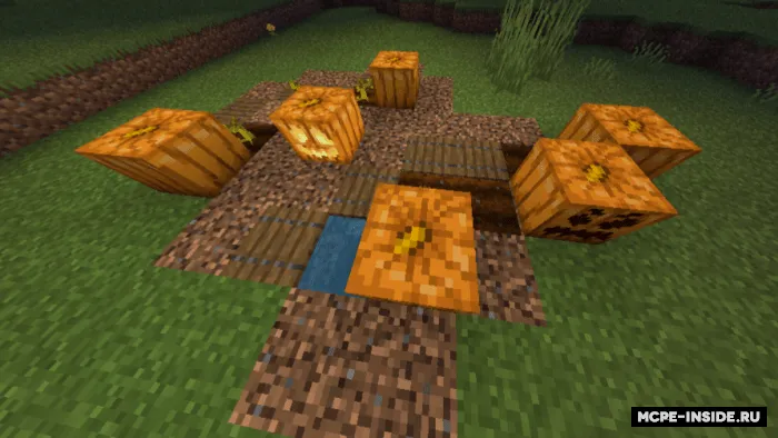 Yaxshilangan qovoqlar — Minecraft mod, rasm 1