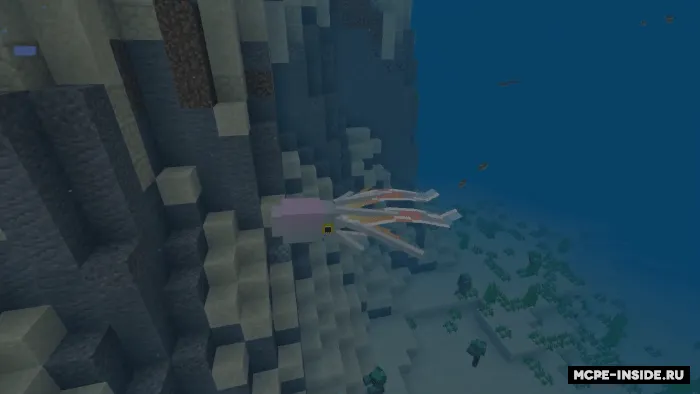 Dengizlar va Okeanlar — Minecraft mod, rasm 2